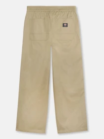 Брюки Dickies Mount Vista модель DK0A4Y22KHK1 Фото