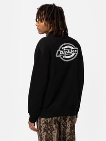 Худі та світшоти Dickies Holtville модель DK0A4Y3BBLK1 Фото