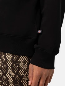 Худі та світшоти Dickies Holtville модель DK0A4Y3BBLK1 Фото