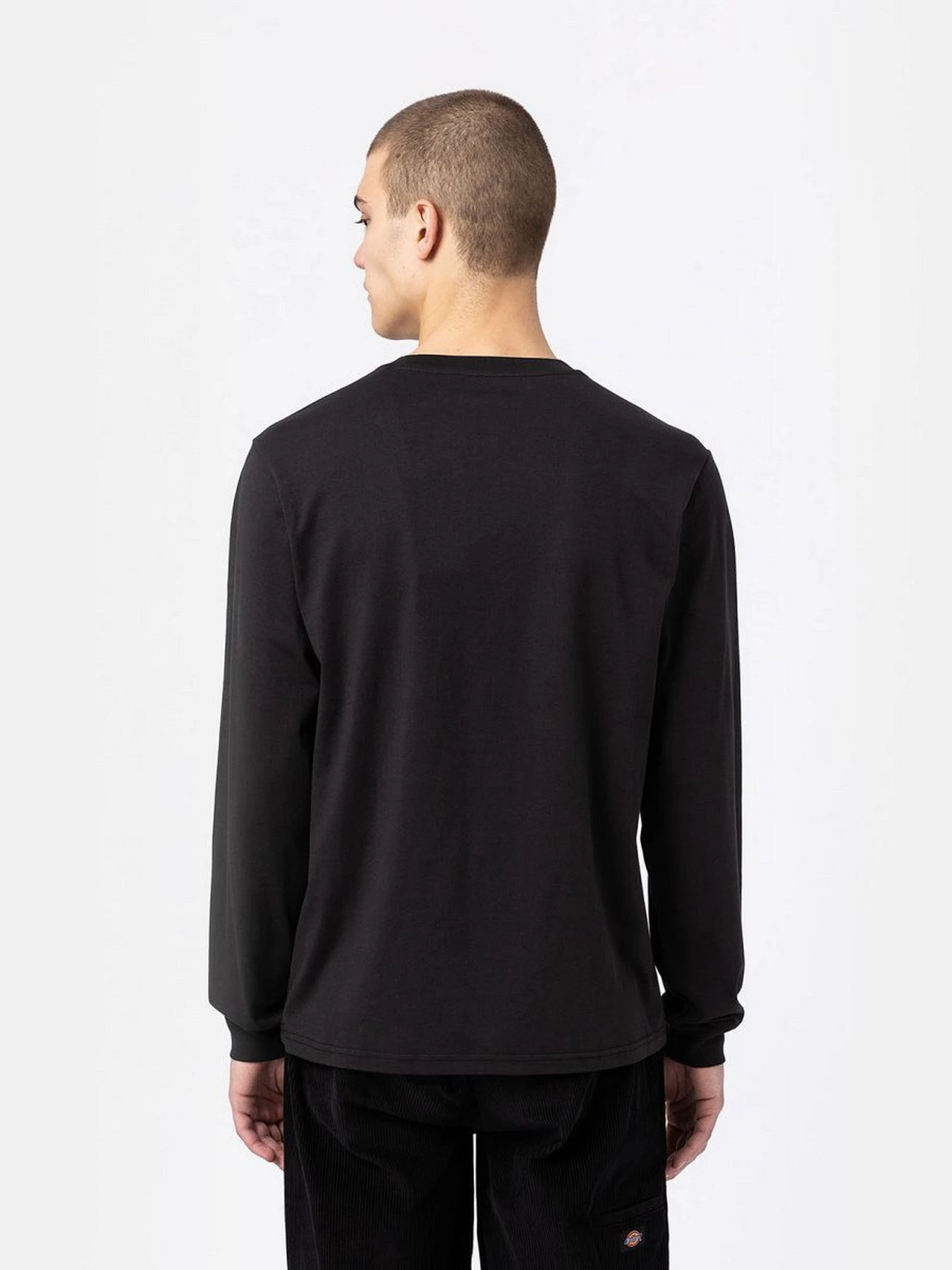 Худи и свитшоты Dickies LS Mapleton модель DK0A4Y4RBLK1 Фото