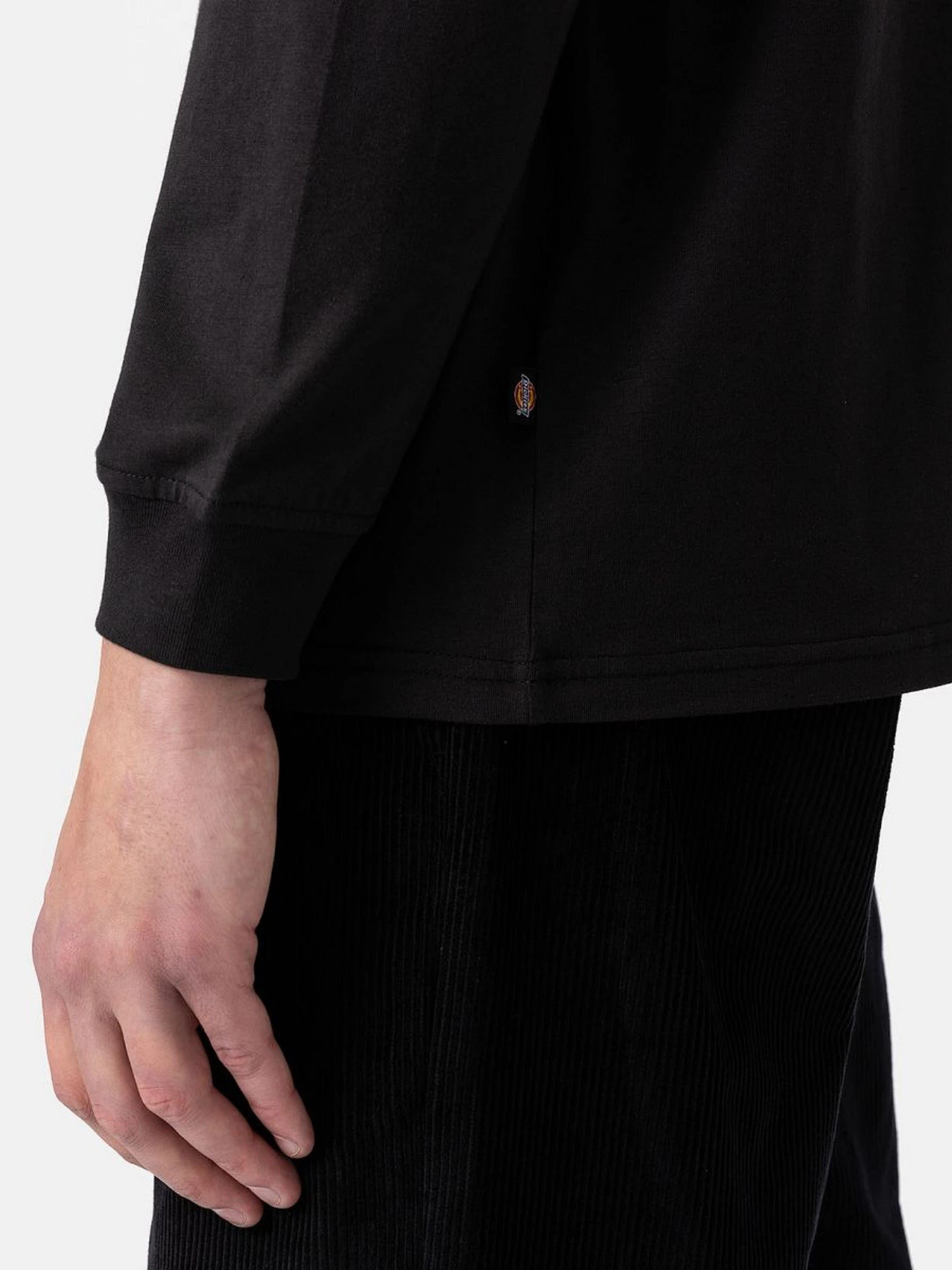Худи и свитшоты Dickies LS Mapleton модель DK0A4Y4RBLK1 Фото