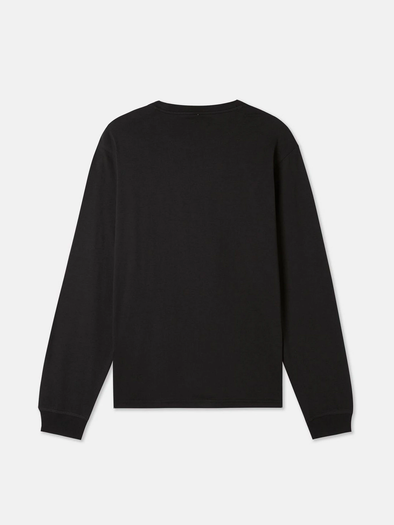 Худи и свитшоты Dickies LS Mapleton модель DK0A4Y4RBLK1 Фото