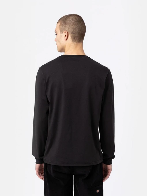 Чоловічий Лонгслів Dickies LS Mapleton фото 2
