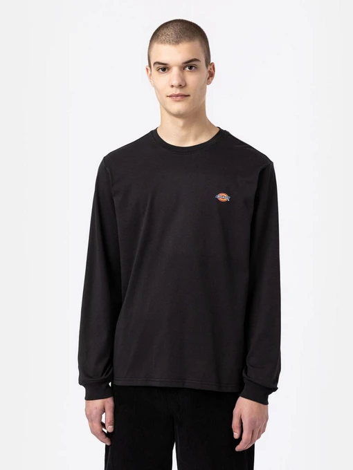 Худі та світшоти Dickies LS Mapleton модель DK0A4Y4RBLK1 Фото