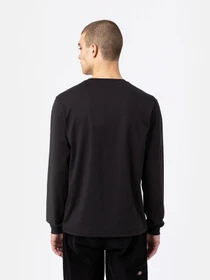 Худи и свитшоты Dickies LS Mapleton модель DK0A4Y4RBLK1 Фото