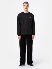 Худи и свитшоты Dickies LS Mapleton модель DK0A4Y4RBLK1 Фото
