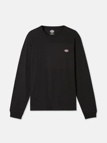 Худи и свитшоты Dickies LS Mapleton модель DK0A4Y4RBLK1 Фото