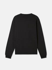 Худи и свитшоты Dickies LS Mapleton модель DK0A4Y4RBLK1 Фото