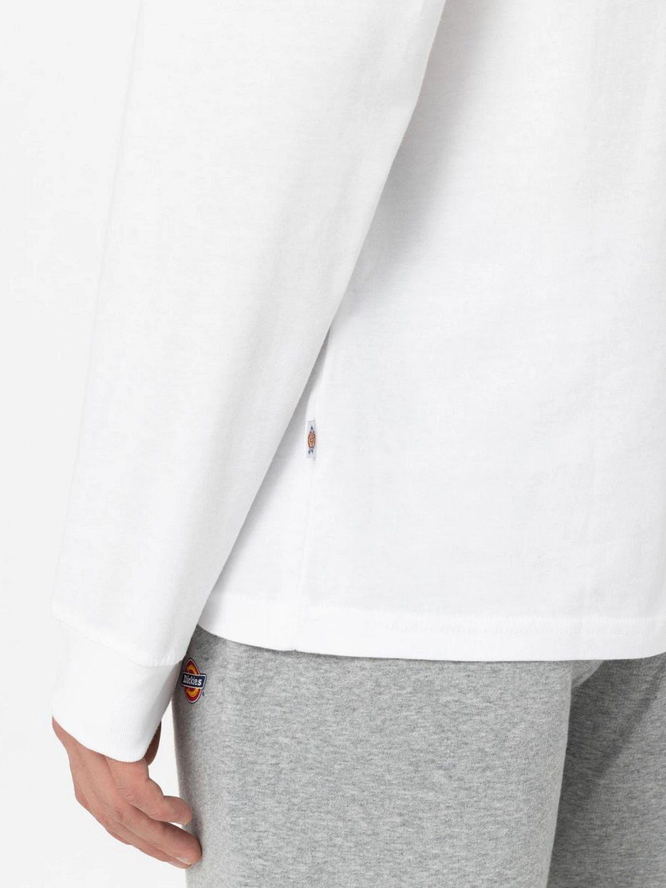 Худі та світшоти Dickies Mapleton модель DK0A4Y4RWHX1 Худі та світшоти Dickies Mapleton модель DK0A4Y4RWHX1 Фото