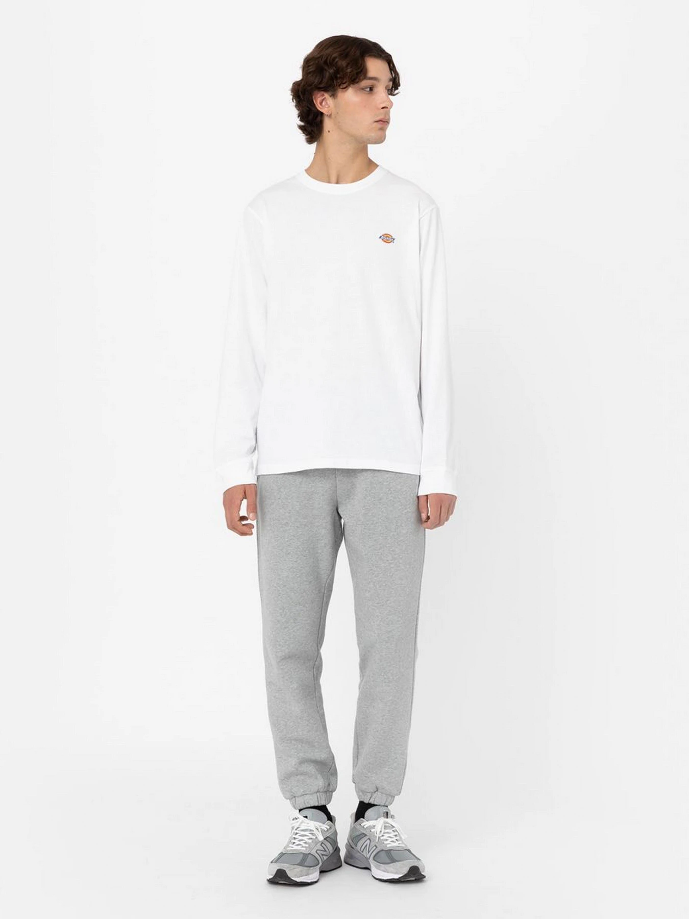 Худі та світшоти Dickies Mapleton модель DK0A4Y4RWHX1 Худі та світшоти Dickies Mapleton модель DK0A4Y4RWHX1 Фото