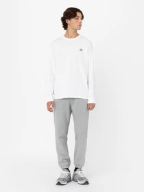 Худі та світшоти Dickies Mapleton модель DK0A4Y4RWHX1 Фото