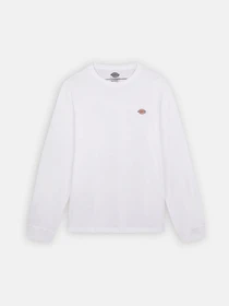 Худі та світшоти Dickies Mapleton модель DK0A4Y4RWHX1 Фото