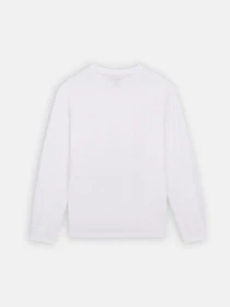 Худі та світшоти Dickies Mapleton модель DK0A4Y4RWHX1 Фото