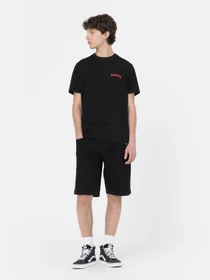 Шорти Dickies Wingville модель DK0A4Y7WBLK1 Фото