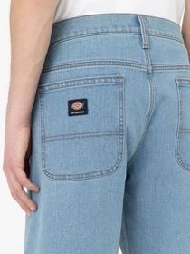 Шорти Dickies Wingville модель DK0A4Y7WLW01 Фото