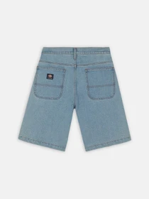 Шорти Dickies Wingville модель DK0A4Y7WLW01 Фото
