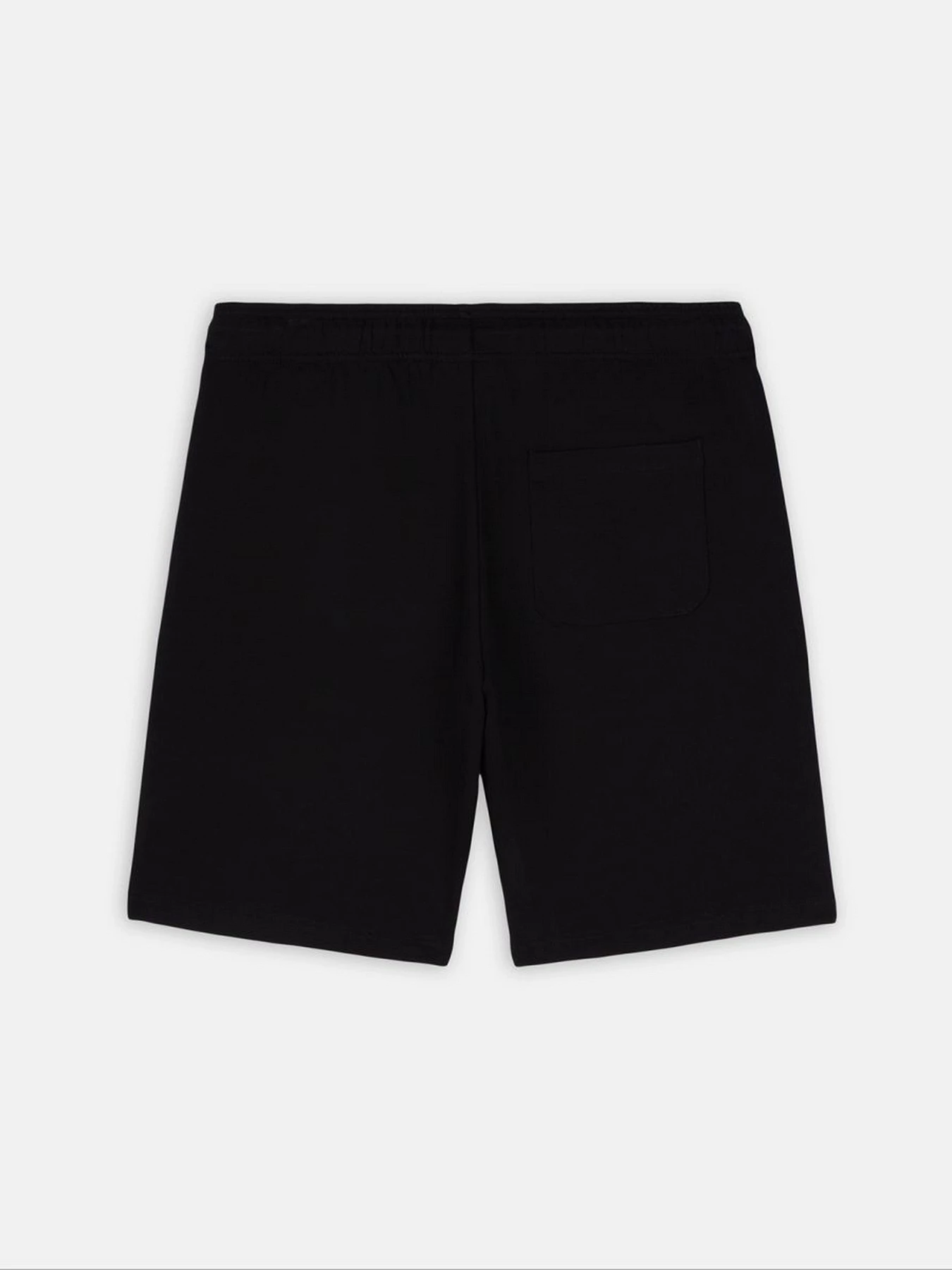 Шорты Dickies Mapleton модель DK0A4Y83BLK1 Шорты Dickies Mapleton модель DK0A4Y83BLK1 Фото