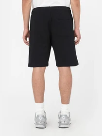 Шорты Dickies Mapleton модель DK0A4Y83BLK1 Фото