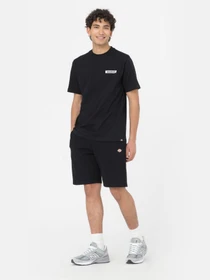 Шорты Dickies Mapleton модель DK0A4Y83BLK1 Фото