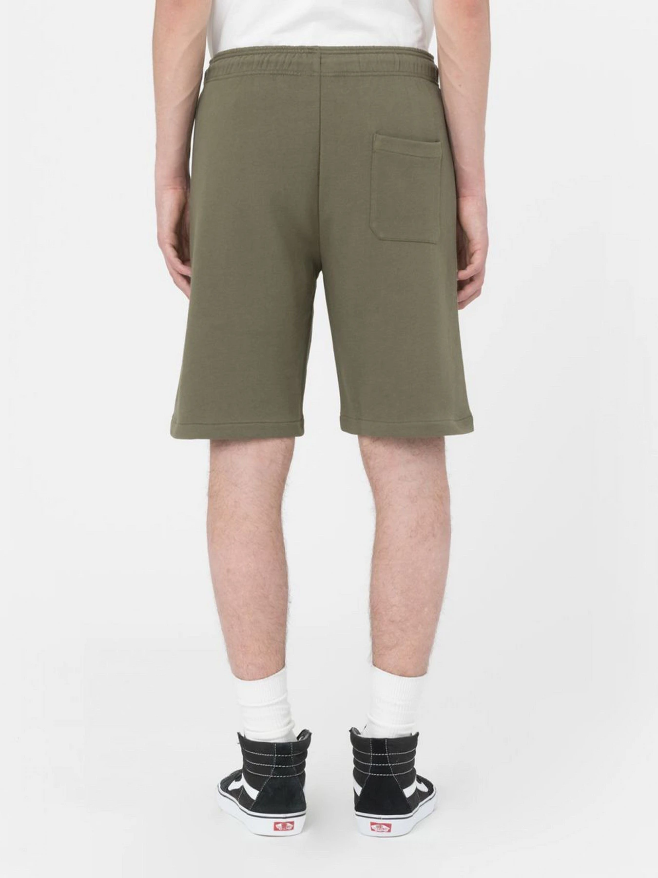 Шорти Dickies Mapleton модель DK0A4Y83MGR1 Шорти Dickies Mapleton модель DK0A4Y83MGR1 Фото