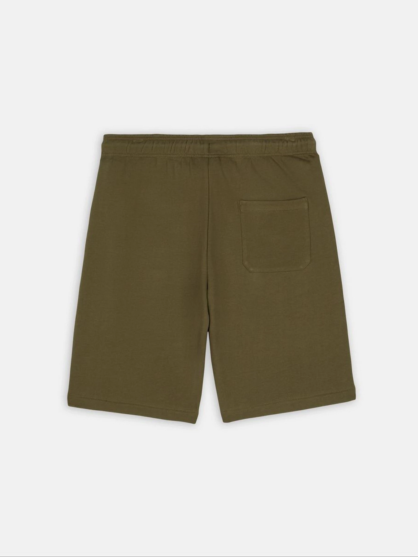Шорти Dickies Mapleton модель DK0A4Y83MGR1 Шорти Dickies Mapleton модель DK0A4Y83MGR1 Фото
