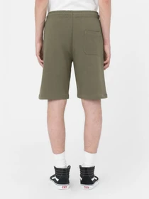 Шорти Dickies Mapleton модель DK0A4Y83MGR1 Фото