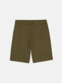 Шорти Dickies Mapleton модель DK0A4Y83MGR1 Фото