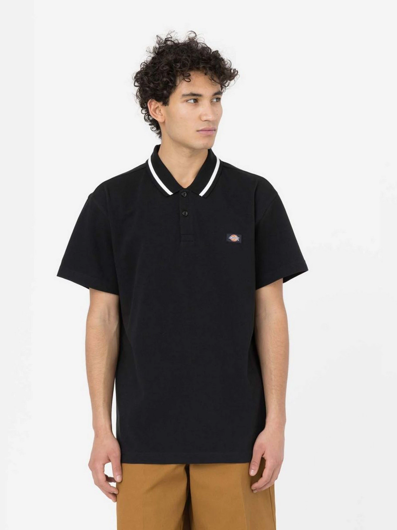 Футболки и поло Dickies Tallasee модель DK0A4Y8PBLK1 Фото