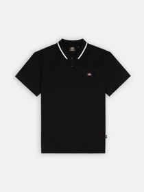 Футболки и поло Dickies Tallasee модель DK0A4Y8PBLK1 Фото