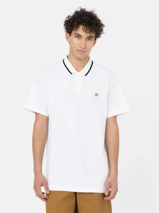 Футболки і поло Dickies Tallasee модель DK0A4Y8PWHX1 Фото