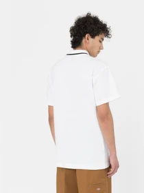 Футболки и поло Dickies Tallasee модель DK0A4Y8PWHX1 Фото