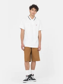 Футболки и поло Dickies Tallasee модель DK0A4Y8PWHX1 Фото