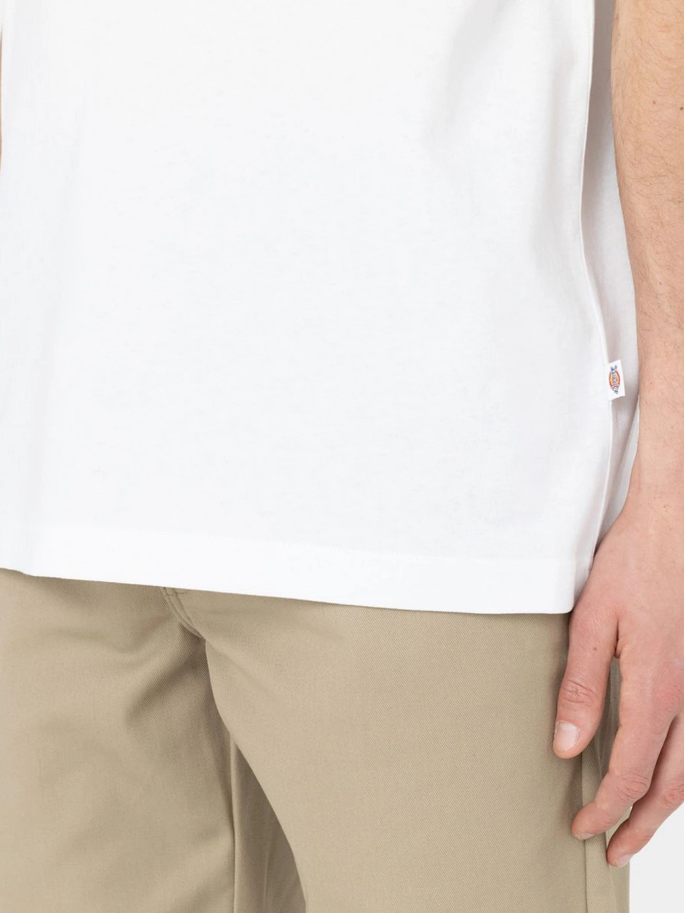 Футболки и поло Dickies Eddyville модель DK0A4Y8SWHX1 Футболки и поло Dickies Eddyville модель DK0A4Y8SWHX1 Фото