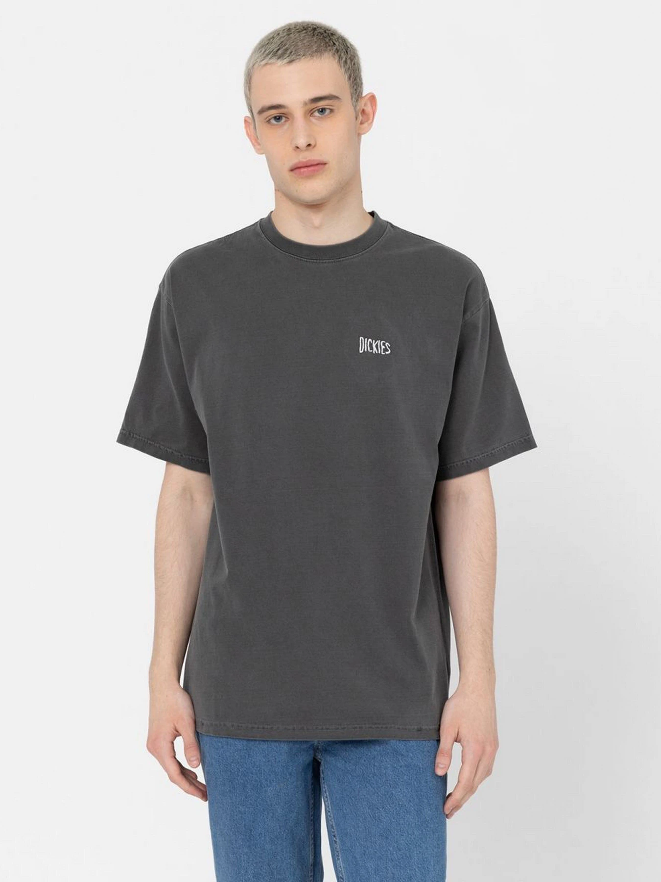 Футболки і поло Dickies Bandon модель DK0A4Y92BLK1 Фото