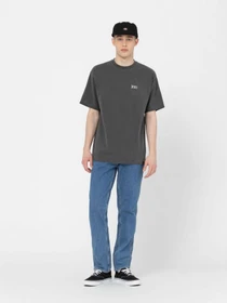 Футболки і поло Dickies Bandon модель DK0A4Y92BLK1 Фото