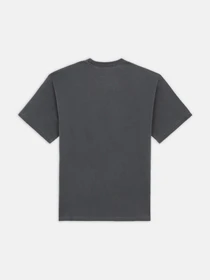Футболки і поло Dickies Bandon модель DK0A4Y92BLK1 Фото