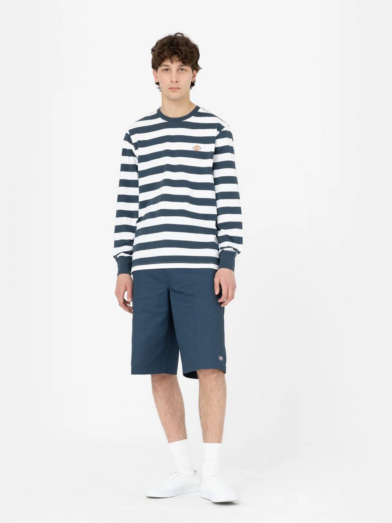 Худі та світшоти Dickies Rivergrove модель DK0A4YFYAF01 Худі та світшоти Dickies Rivergrove модель DK0A4YFYAF01 Фото