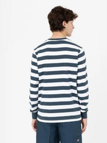 Худі та світшоти Dickies Rivergrove модель DK0A4YFYAF01 Фото