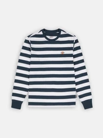 Худі та світшоти Dickies Rivergrove модель DK0A4YFYAF01 Фото