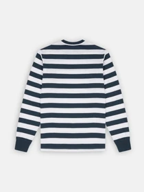 Худі та світшоти Dickies Rivergrove модель DK0A4YFYAF01 Фото