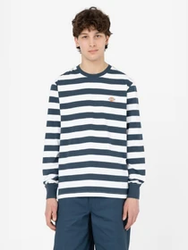 Худі та світшоти Dickies Rivergrove модель DK0A4YFYAF01 Фото