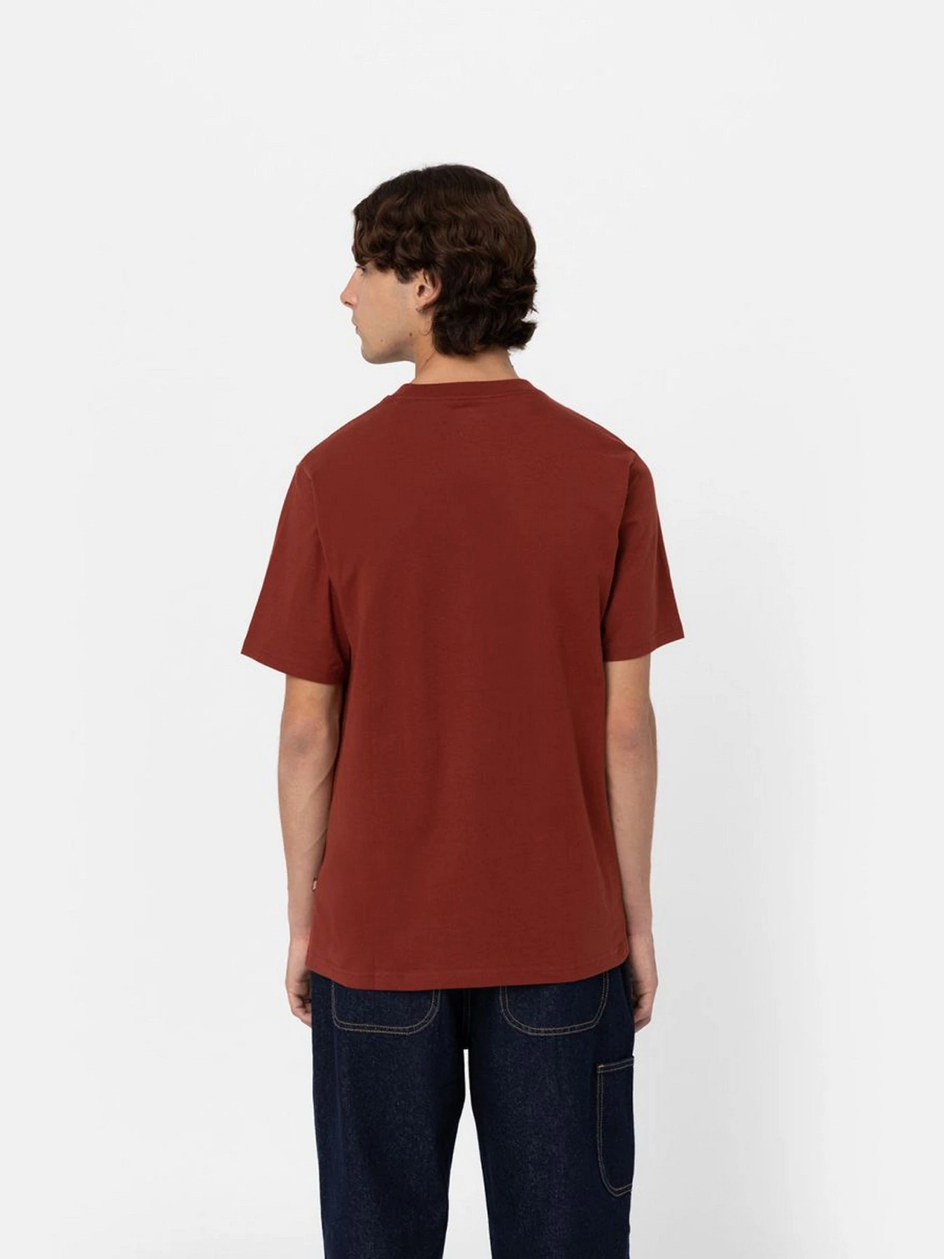 Футболки і поло Dickies Icon Logo модель DK0A4XC9G041 Футболки і поло Dickies Icon Logo модель DK0A4XC9G041 Фото