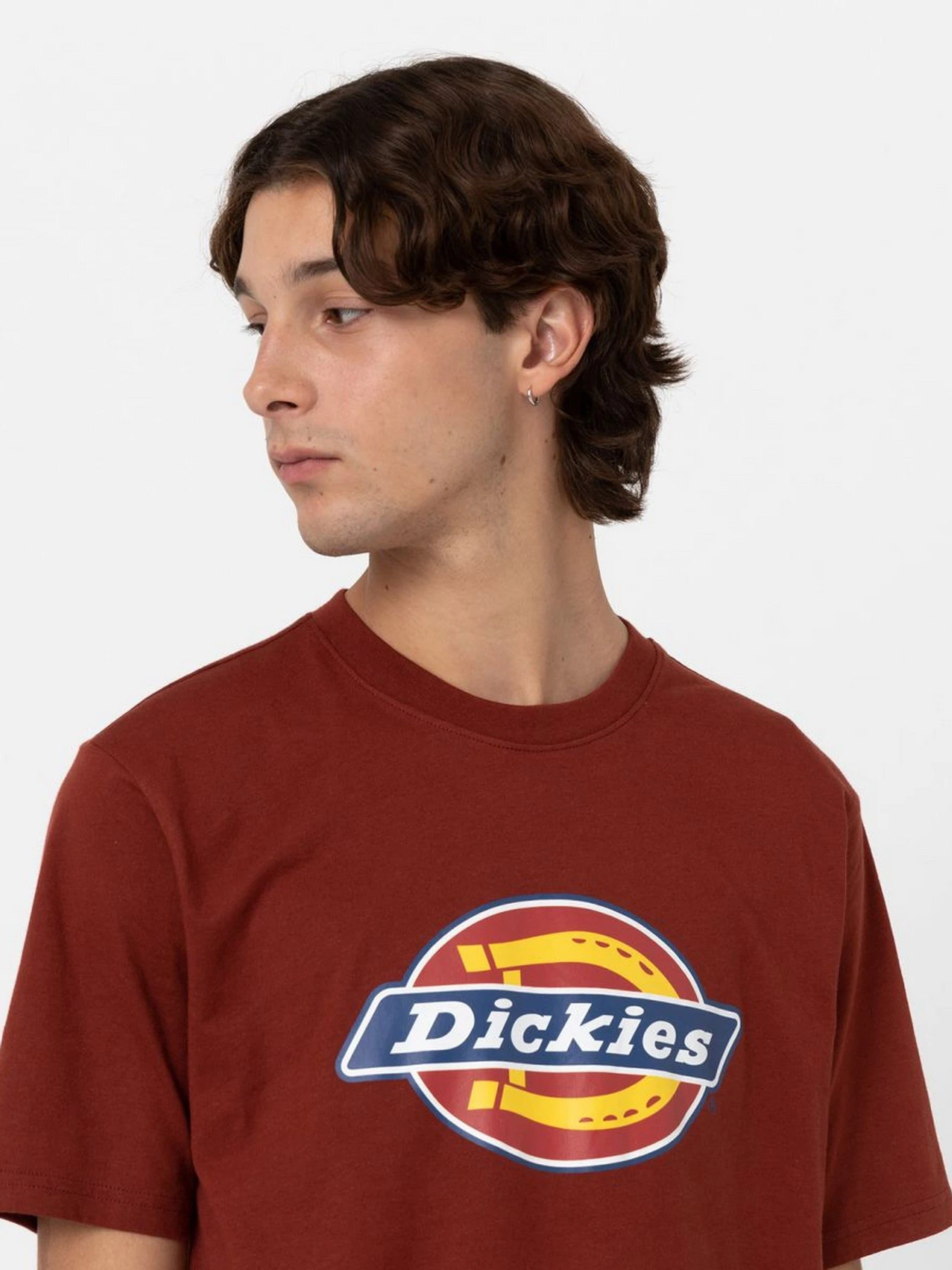 Футболки і поло Dickies Icon Logo модель DK0A4XC9G041 Футболки і поло Dickies Icon Logo модель DK0A4XC9G041 Фото