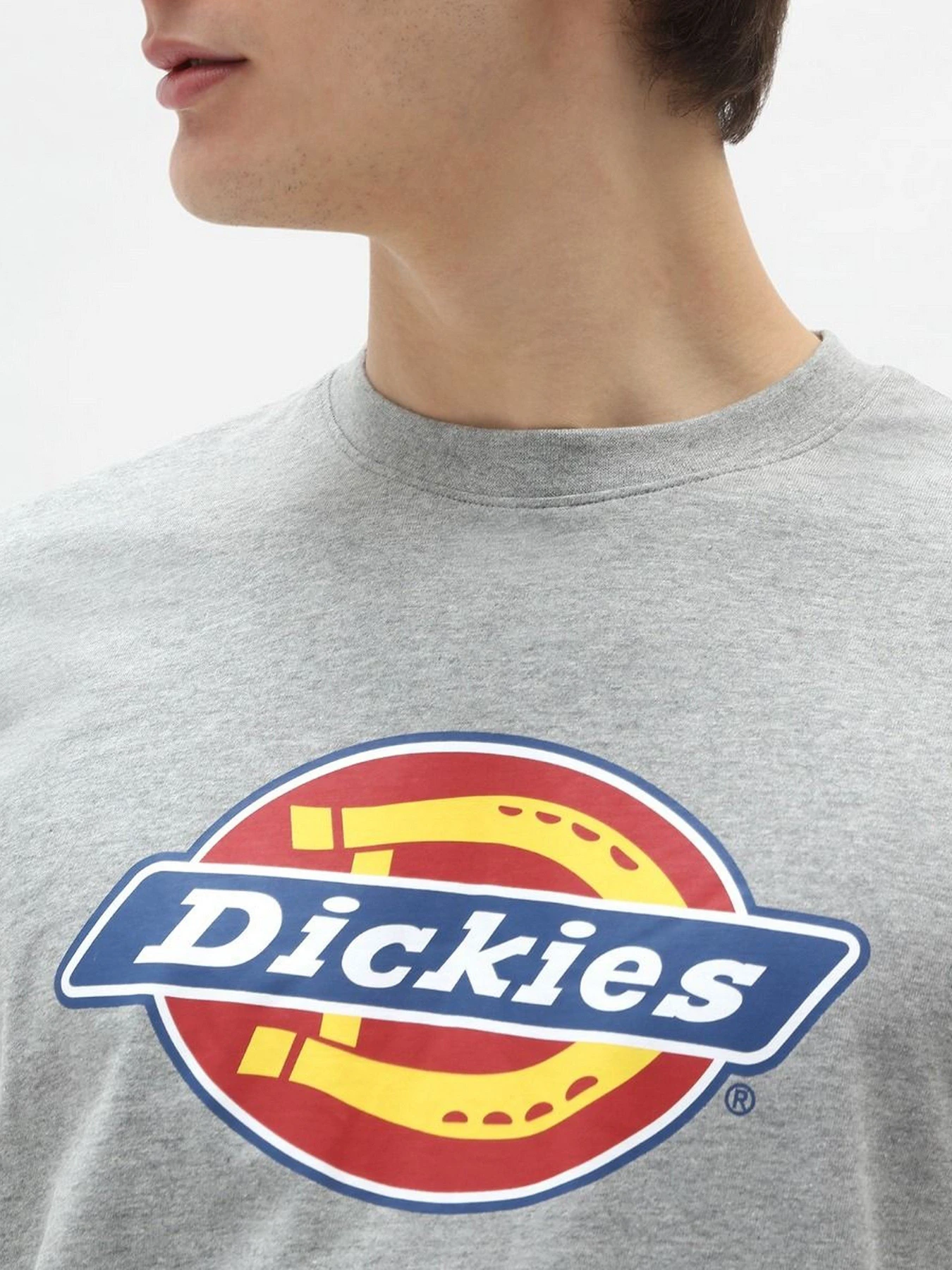 Футболки і поло Dickies Icon Logo модель DK0A4XC9GYM1 Фото