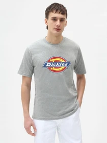 Футболки і поло Dickies Icon Logo модель DK0A4XC9GYM1 Фото