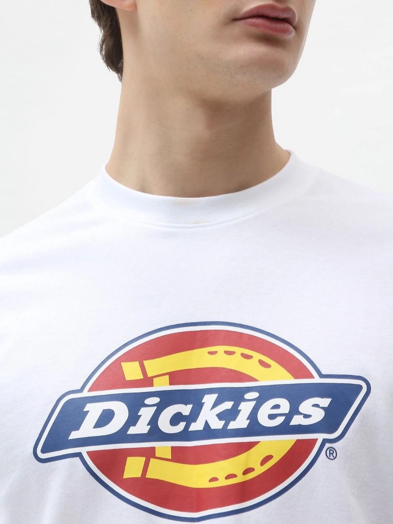 Футболки і поло Dickies Icon Logo модель DK0A4XC9WHX1 Футболки і поло Dickies Icon Logo модель DK0A4XC9WHX1 Фото