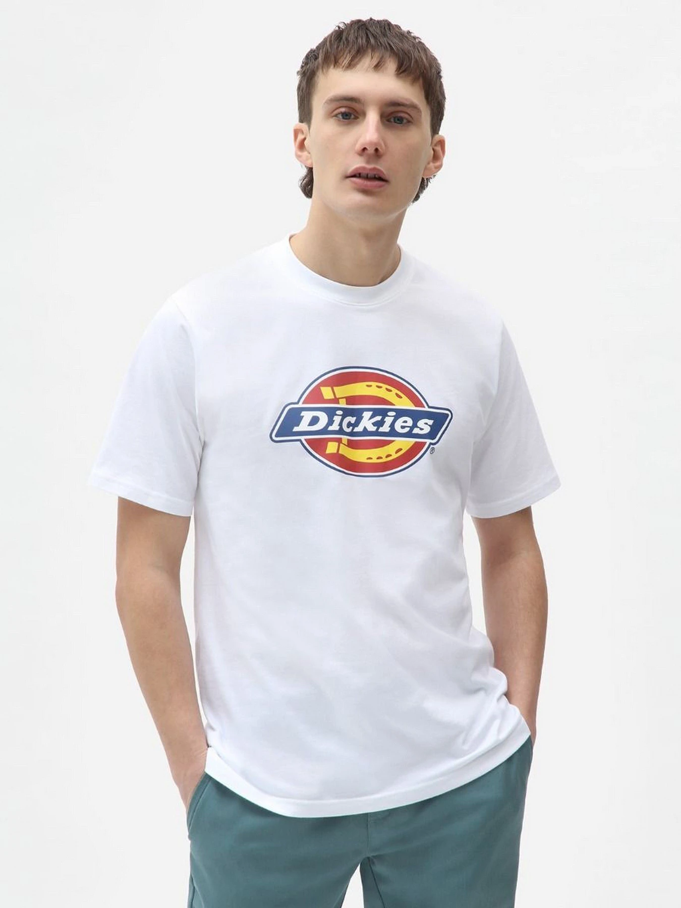 Футболки і поло Dickies Icon Logo модель DK0A4XC9WHX1 Футболки і поло Dickies Icon Logo модель DK0A4XC9WHX1 Фото