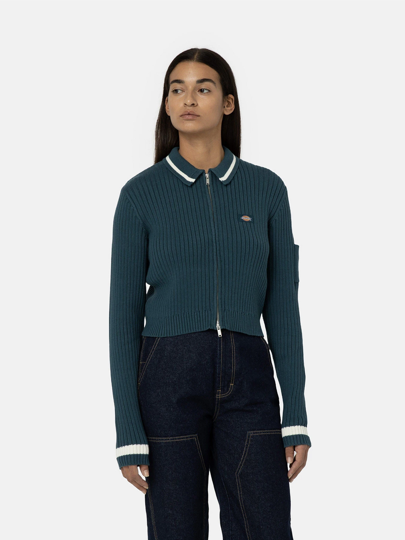 Худи и свитшоты Dickies Elkhart Zip модель DK0A4YMGF971 Худи и свитшоты Dickies Elkhart Zip модель DK0A4YMGF971 Фото