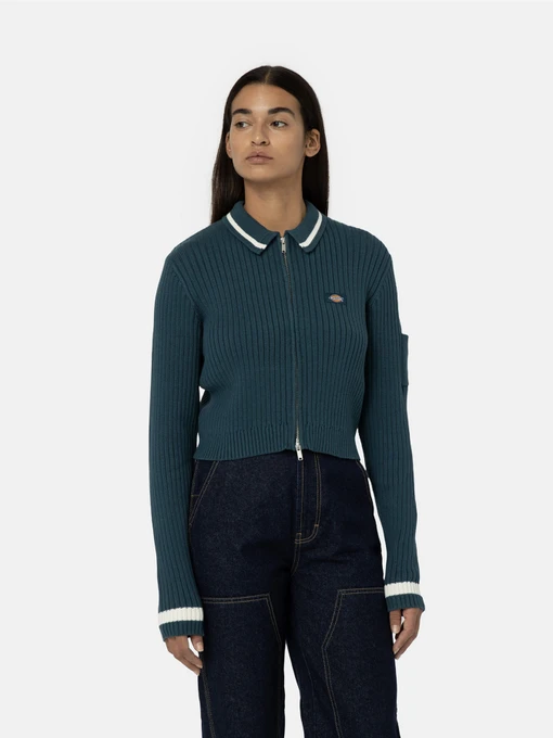 Худі та світшоти Dickies Elkhart Zip модель DK0A4YMGF971 Фото