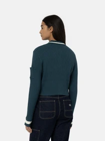 Худи и свитшоты Dickies Elkhart Zip модель DK0A4YMGF971 Фото